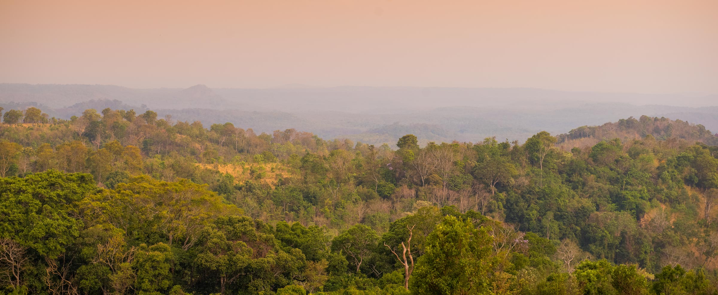 The Mondulkiri Protected Forest is located in eastern Cambodia and is part of maybe the largest protected area complex in southeast Asia.