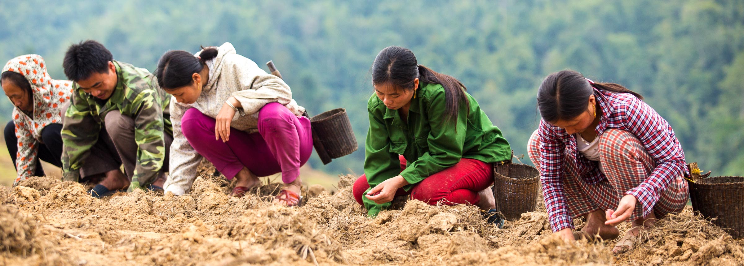 People planting seeds