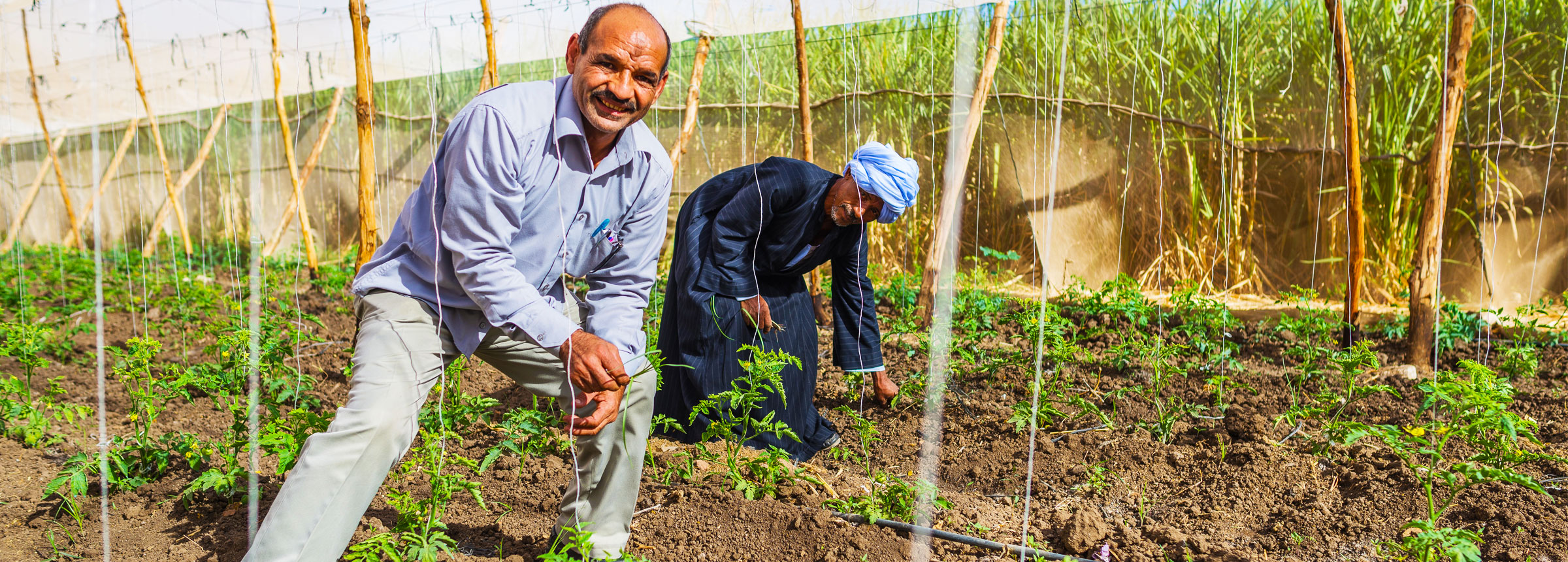 Egyptian farmers