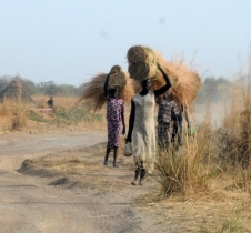Woman carrying straw