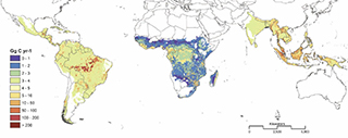 Baseline Map of Carbon Emissions from Deforestation in Tropical Regions