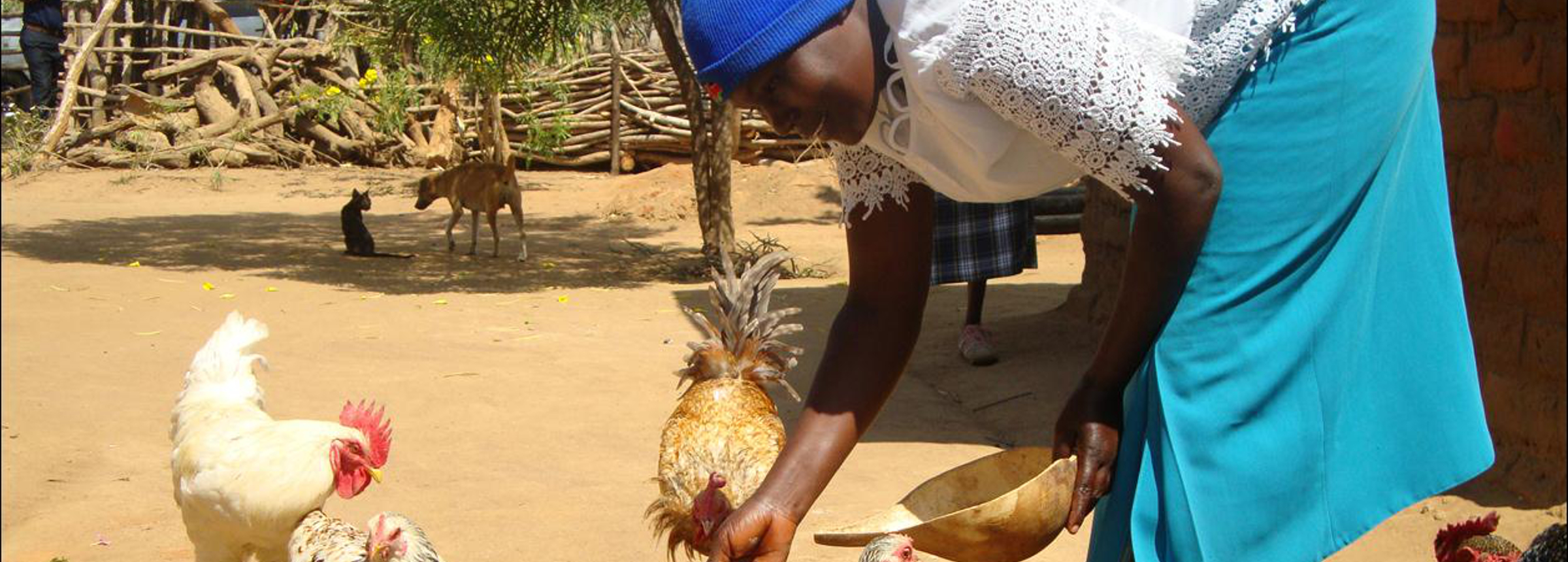 Winrock International » Helping Women Feed Their Families in Rural Kenya