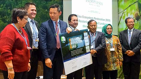 An award is presented at the Conference of the Parties in Paris.