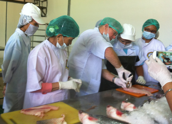 Dr. John Woiwode demonstrates improved techniques to prepare tilapia fillets