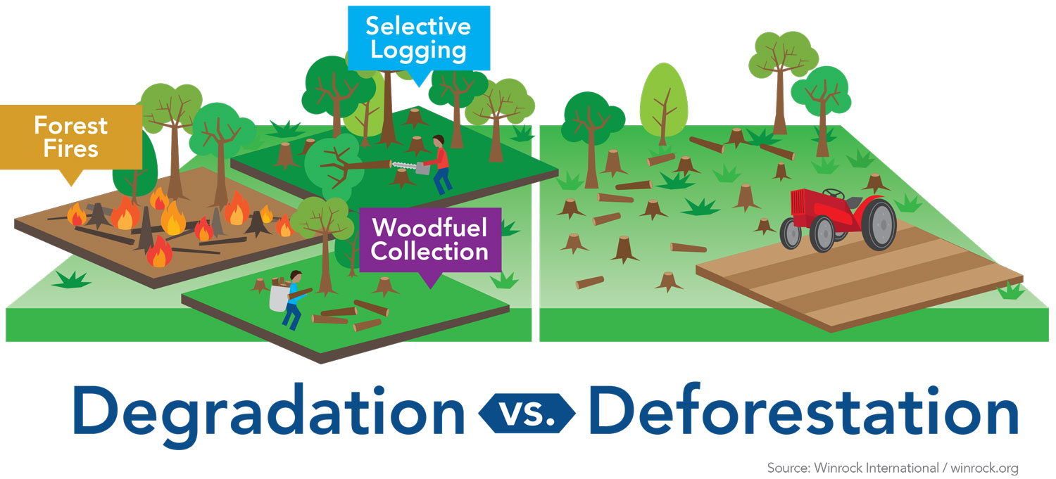 forest-degradation-winrock-international