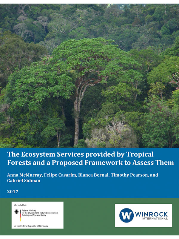specielt frokost Hover Winrock International » The Ecosystem Services provided by Tropical Forests  and a Proposed Framework to Assess Them (English and Spanish)