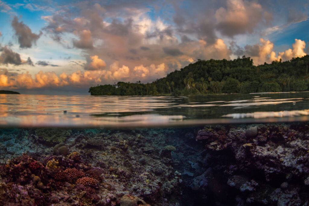 Solomon Islands Winrock International