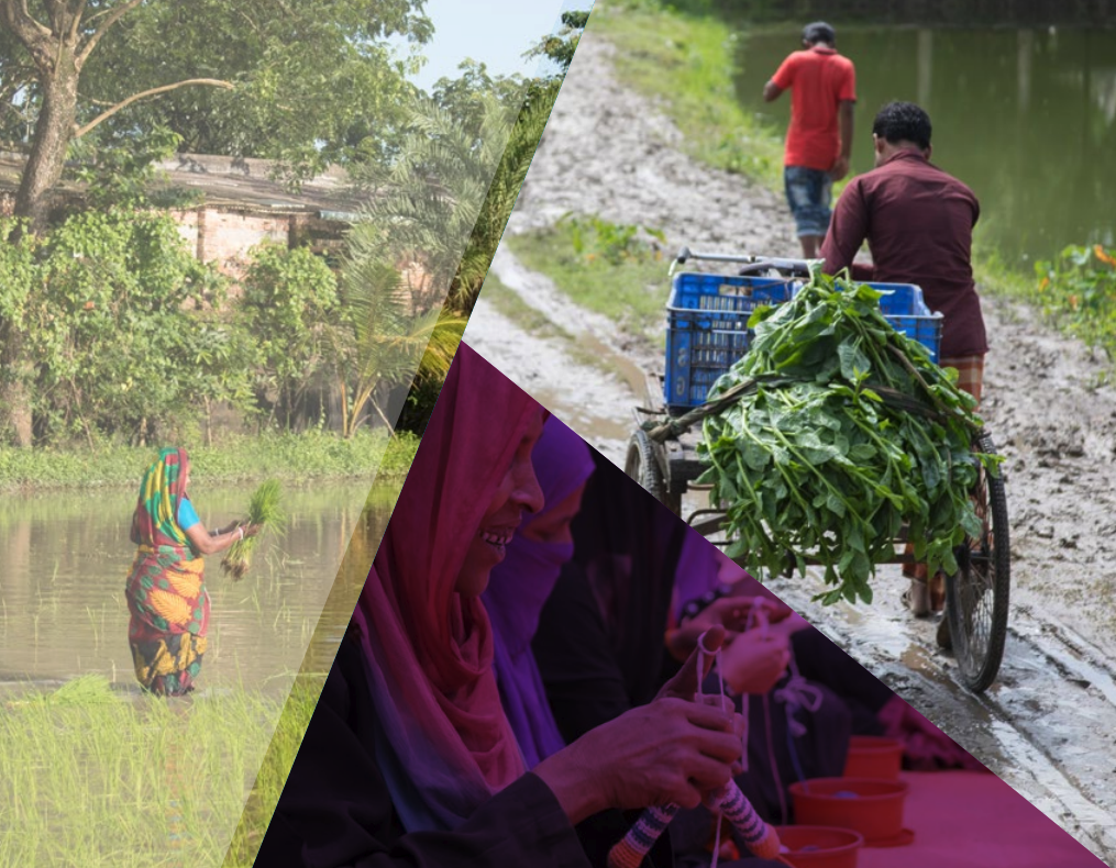 Climate Resilient Ecosystems and Livelihoods (CREL) - Winrock International
