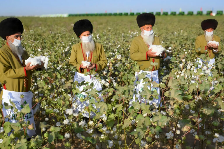 Turkmenistan bans child labor on cotton farms with support from USAID and partners  