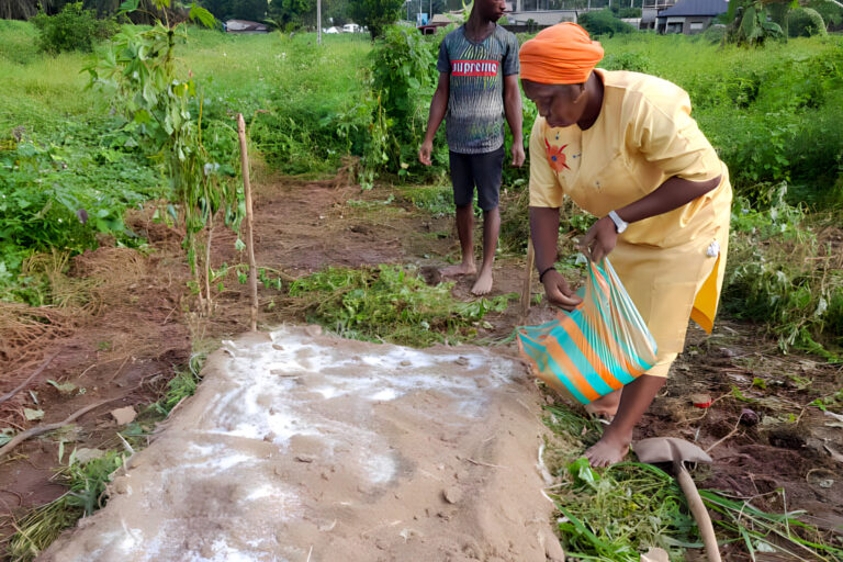 Women in agriculture: A Havener-Dowswell Scholarship story